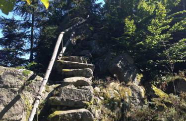 Haus Hollerbusch - Foto 31