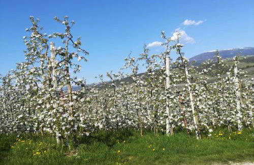 MELAX Apartment - Foto 15