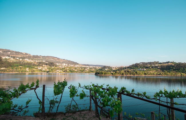 Quinta do Regato Douro - Foto 35