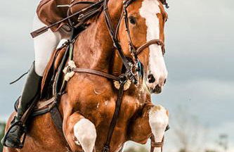 affittacamere la torre - Foto 31