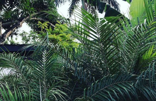 Very Charming 1-bed Studio-apartment in Paramaribo - Photo 17