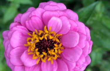 Quinta da Pavoa - Cottage House - Photo 69