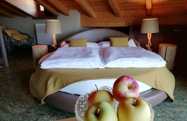 Horse House - Foto 14