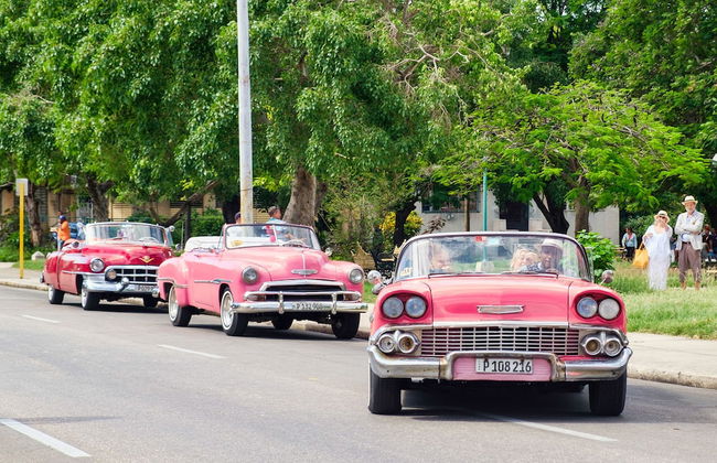Holiday rental in Havana with terrace - Photo 36