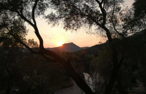 Angelos Studios - Photo 11