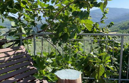 CasaVacanze NiGiNo - Foto 56