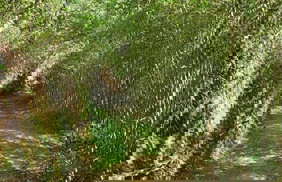 Quinta da Paz Resort - Foto 57