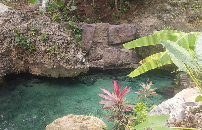 Joais do Nordeste - Foto 65