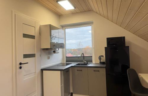 Przystanek Niesiołowice - noclegi na Kaszubach - Foto 5