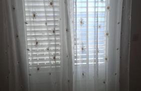 Apartmani Kunjasic - Foto 7