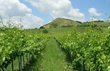 Villa Il Cigno - Photo 43