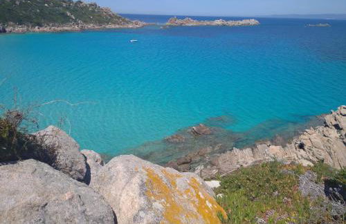 Monolocale Il Corbezzolo - Photo 46