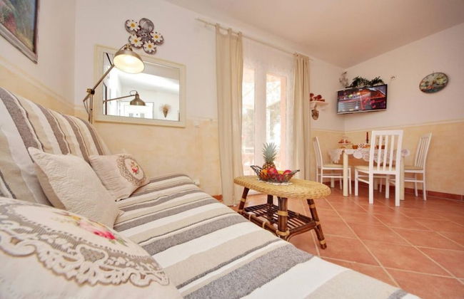 Dino - Gorgeous Garden - SA1 Zavala - Photo 8