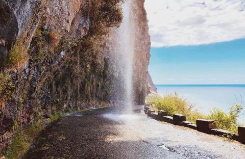 Figueira's House By the Atlantic - Foto 17