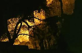 Fewo Altenstein - Photo 16