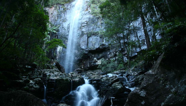 Hinterland Magic + Glow Worm Experience - Foto 5