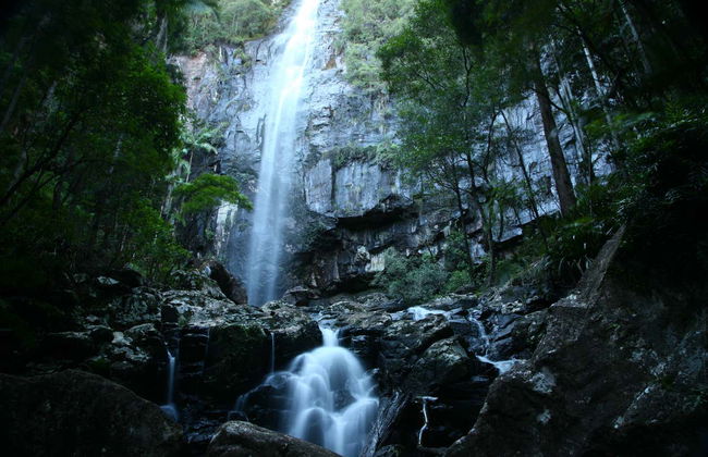 Expérience Hinterland Magic + Glow-worm - Photo 5