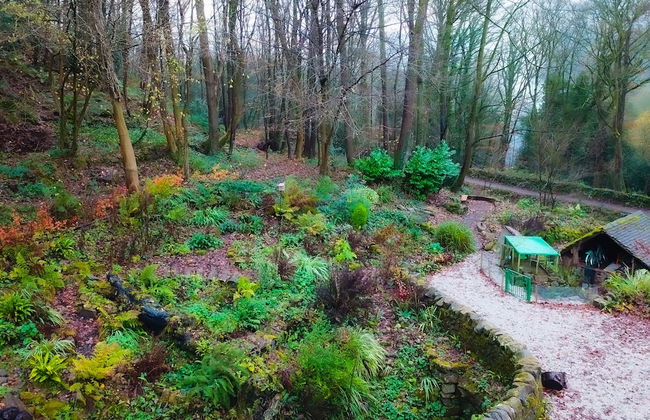 Robin Hood Tower - Foto 13