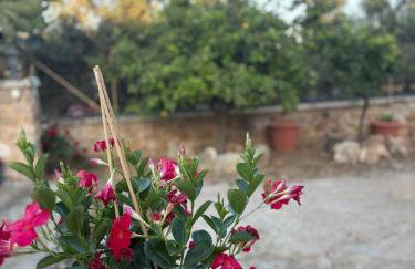 Traditional house Nikos - Foto 18