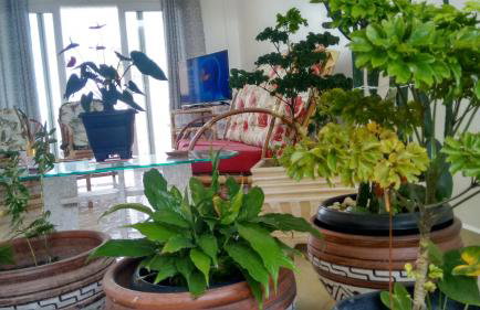 CASA - FRENTE PARA O MAR - Foto 29