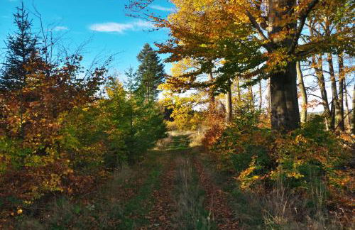 Ferienhaus Broche - Foto 38