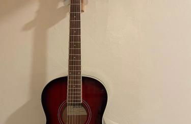 Dusty Rose The Wild West 40 Homestead - Foto 9