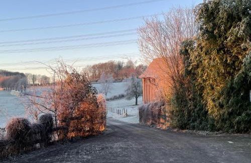 Ferienwohnung Annika - Foto 38