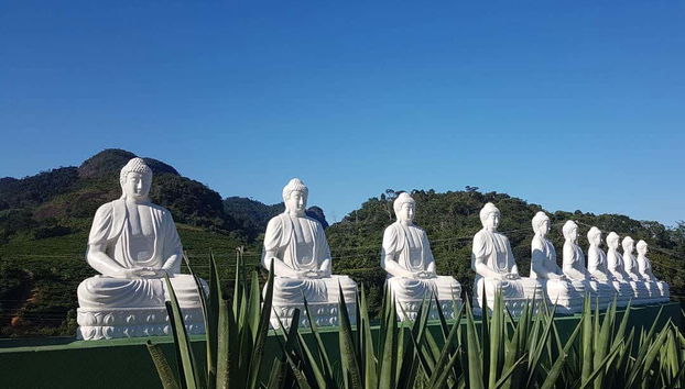 Ibiraçu Buddha Tour + Other Sights - Foto 5