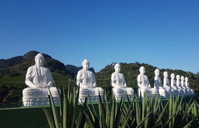 Excursão à estátua do Buda gigante - Foto 5