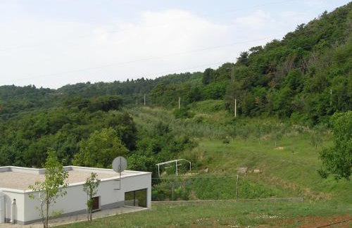 Apartments Rajkovic - Photo 48