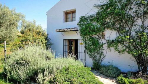 El Cerro del Almendral - Foto 4