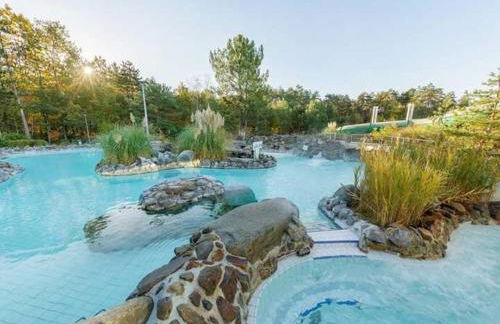 Proche châteaux de la Loire zoo Beauval gite de sologne 3 étoiles - Photo 23