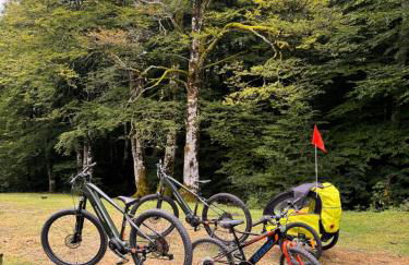 La central de Azparren, junto a la Selva de Irati - Foto 3