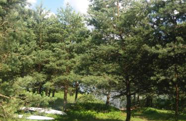 Ostoja Stacze - Foto 38