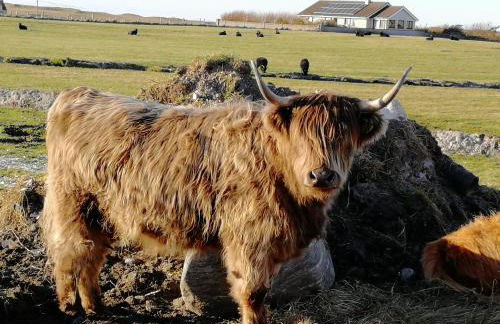 The Fisherman's Snug self catering North Uist - Foto 51