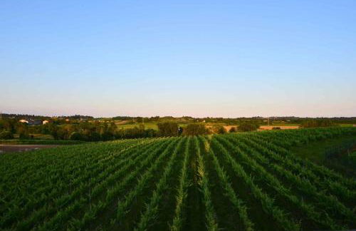 Holiday home in Castelnuovo del Garda - Gardasee 54558 - Foto 36