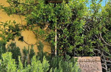 Made in Langhe Apartment - Photo 15