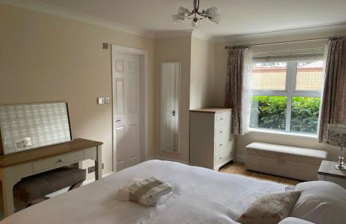 Central Woking - Photo 28