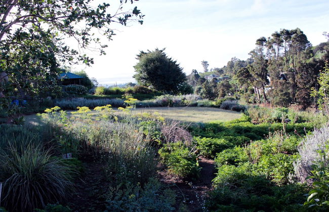 Senani Colonial Holiday Bungalow - Foto 28