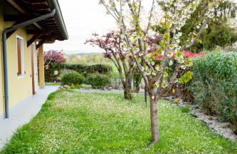 Residence Stradella Verde - Photo 45