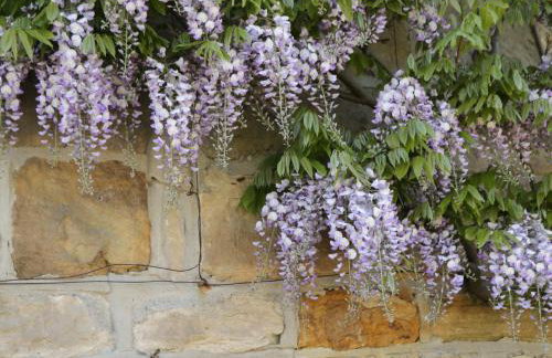 Goathland Cottage - Photo 52