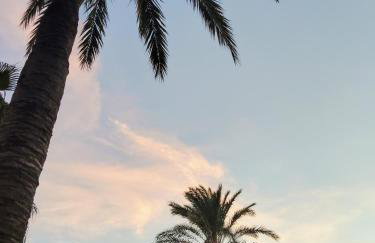 Apartamento frente a la Playa en La Ribera de Cabanes con terraza - Foto 32