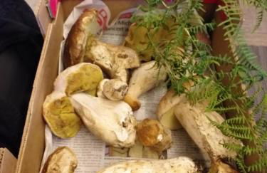 Maison accueillante à La Salvetat-sur-Agout avec terrasse - Foto 14