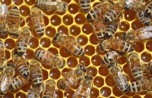 Agriturismo Dolcetna - Foto 38