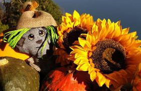 Mary's Garden - Foto 27