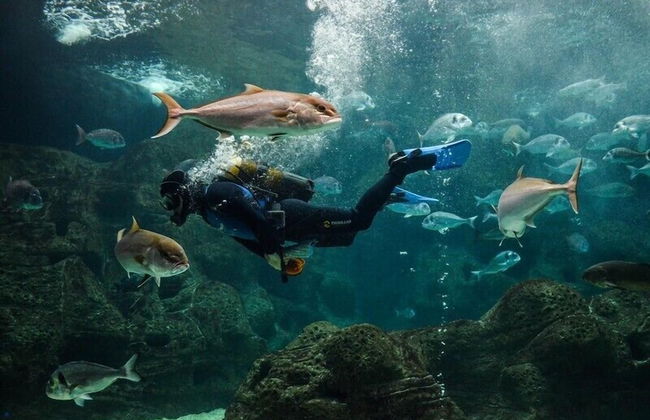 Helen Suites - Foto 15