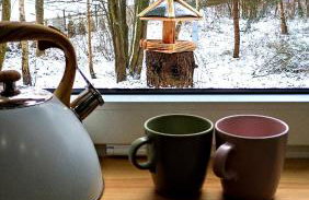 Świerkowisko cisza las plaża blisko - Foto 79