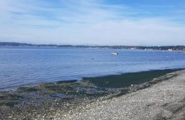 Comfortable Studio #1 Across The Street From The Beach - Foto 9