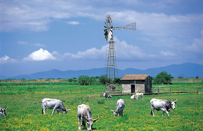 Agriturismo La pulledraia - Foto 30