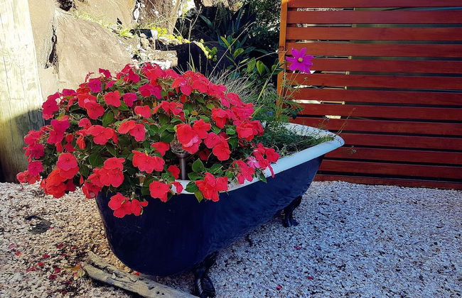 Romantic Piha - Photo 20